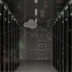 Unraveling the Vital Role of Database Management in Modern Organizations