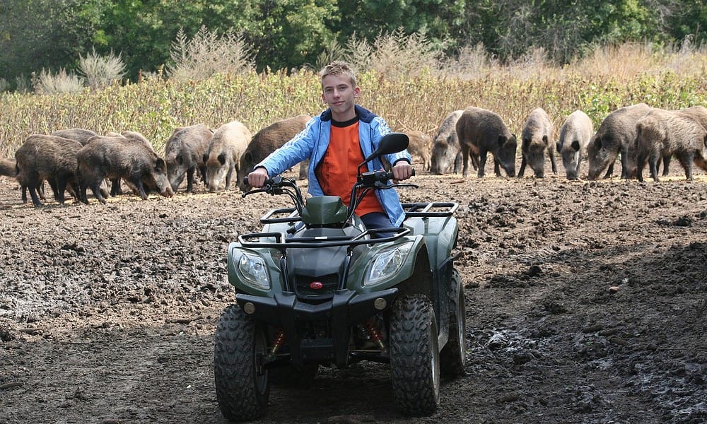 ATV vehicles