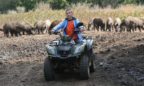 ATV vehicles