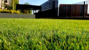 The Art and Science of Lawn Care Management