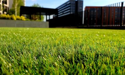 The Art and Science of Lawn Care Management