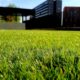 The Art and Science of Lawn Care Management