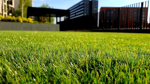 The Art and Science of Lawn Care Management